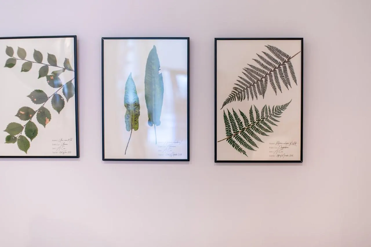 Bonjour Maison 0*, Fukuoka (Fukuoka)